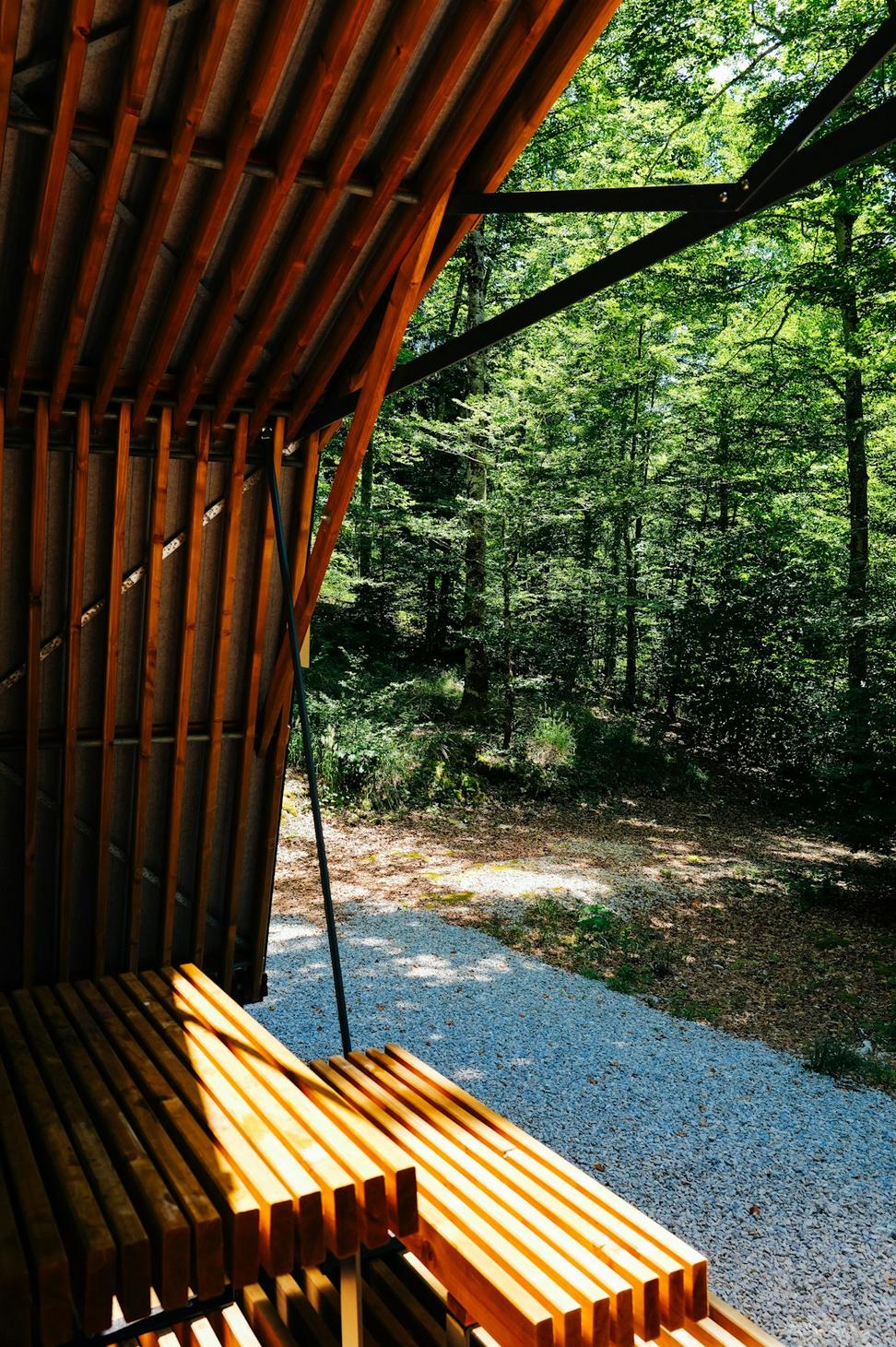 Forest Edge Retreat
